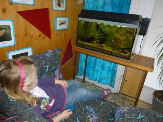 Kindertagesstätte Freudenberg