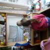 Kindertagesstätte Freudenberg